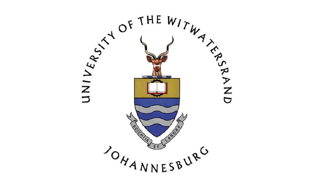 Virtual Visiting Professorship In South Africa
